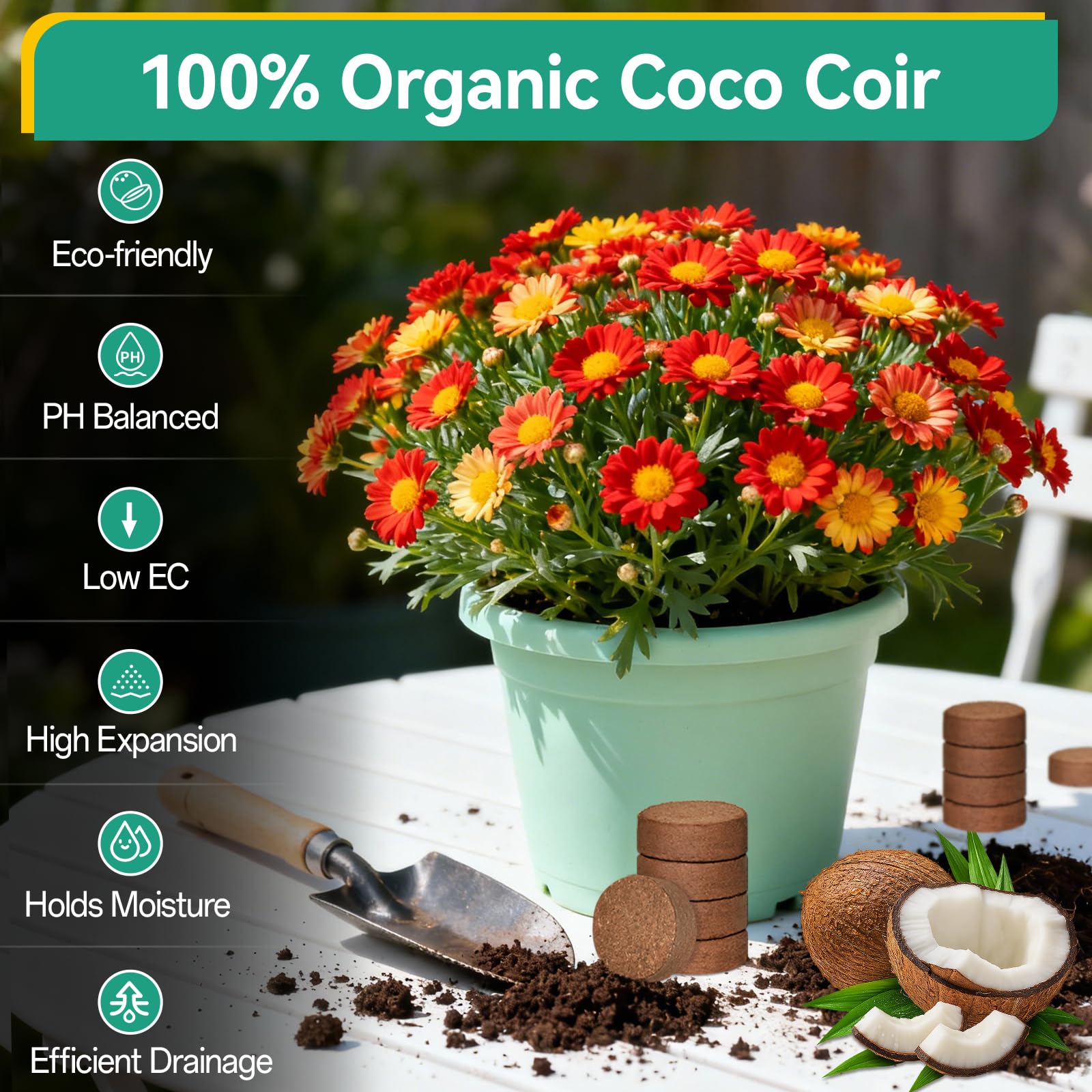 ZeeDix coco coir soil shows strong water absorption and aeration for healthy roots.
