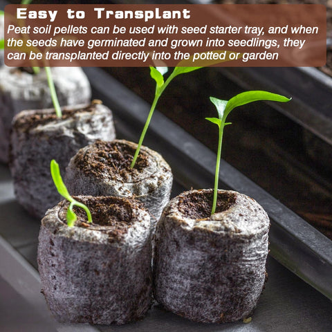 ZeeDix degradable net bag supports sustainable transplanting.