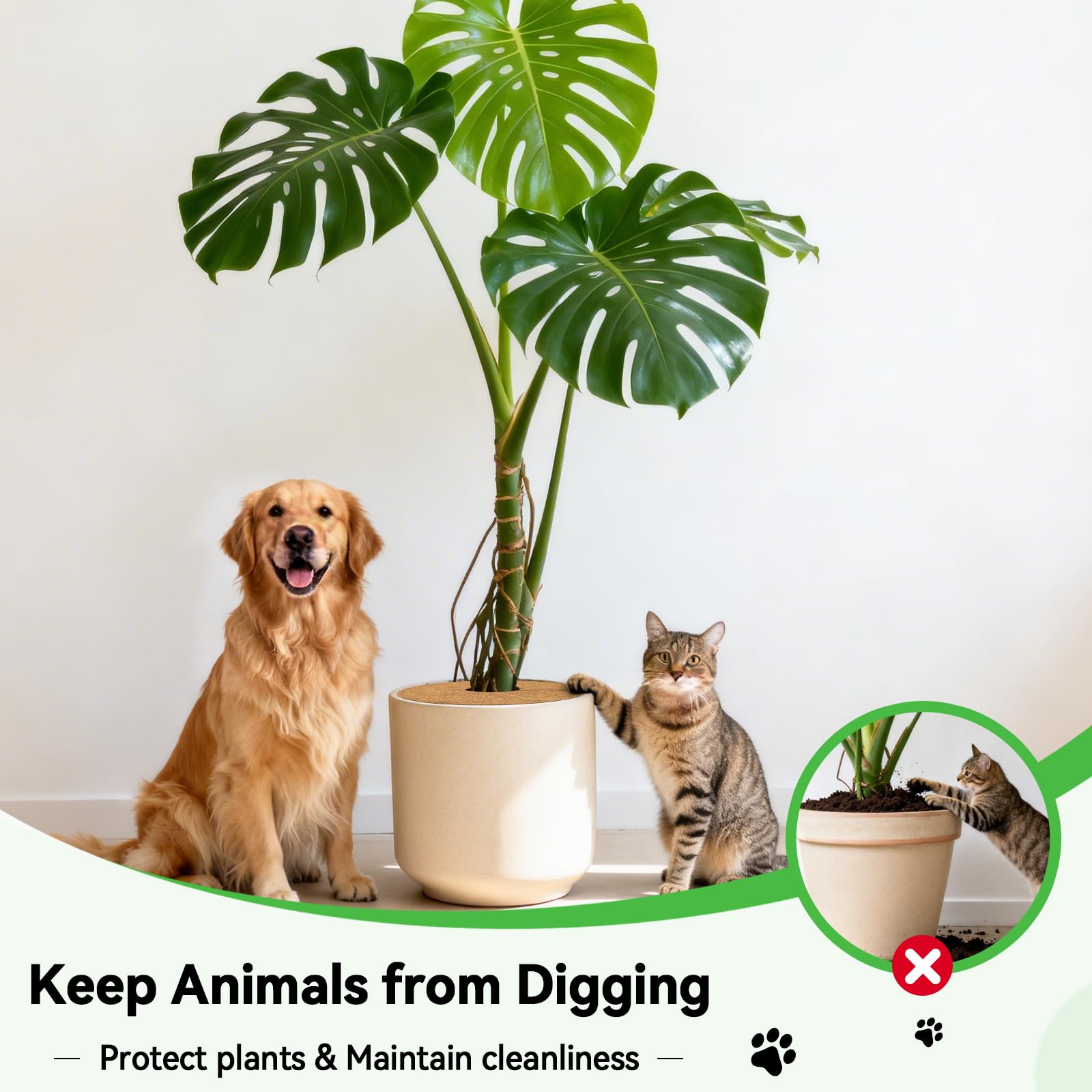 ZeeDix durable coconut ring for plant cover 24 inch, easy to use.