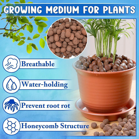 ZeeDix DWC hydroponics setup image with pebbles supporting nutrient flow and root health.