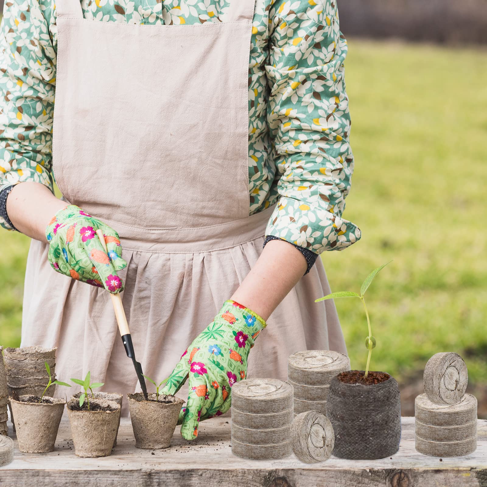 ZeeDix all-in-one seed starter kit for indoors or outdoors