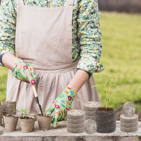 ZeeDix all-in-one seed starter kit for indoors or outdoors