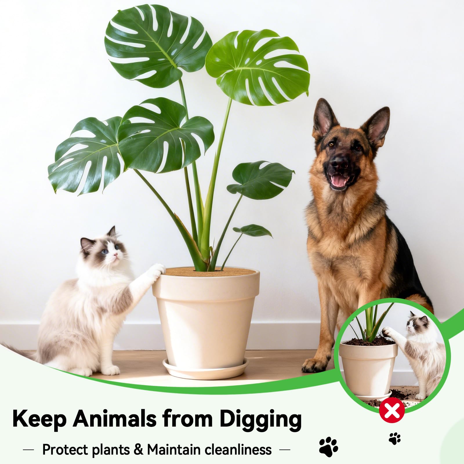 ZeeDix easy-trim ring fits most pots and trims to size.