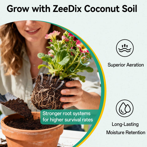 ZeeDix pellets soaking and expanding for easy potting.