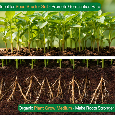ZeeDix expansion to 2-1 gallons provides ample soil for container gardens