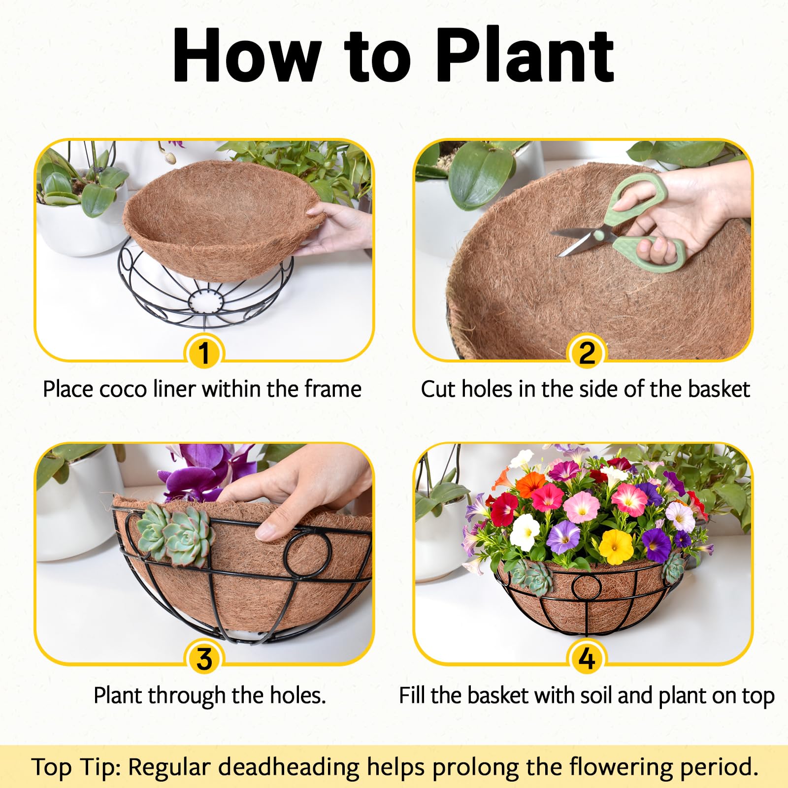 ZeeDix flowers-herbs-succulents-display fits 12-inch baskets for small-space gardens.