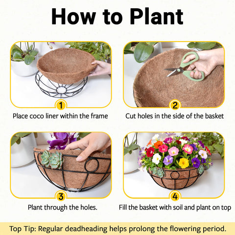 ZeeDix flowers-herbs-succulents-display fits 12-inch baskets for small-space gardens.