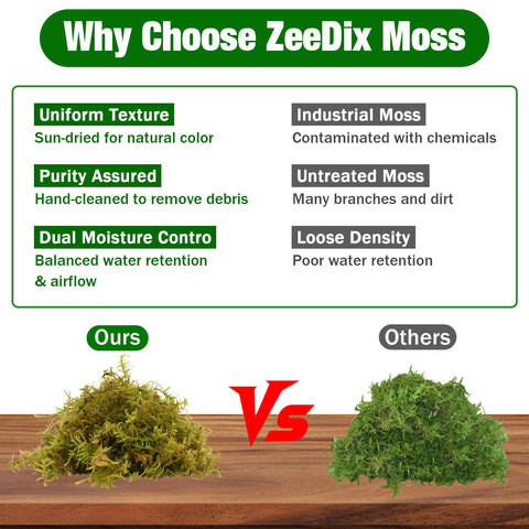 ZeeDix forest moss in reptile habitat providing humidity