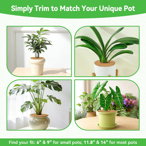 ZeeDix mulch rings keep plants neat on shelves or balconies.