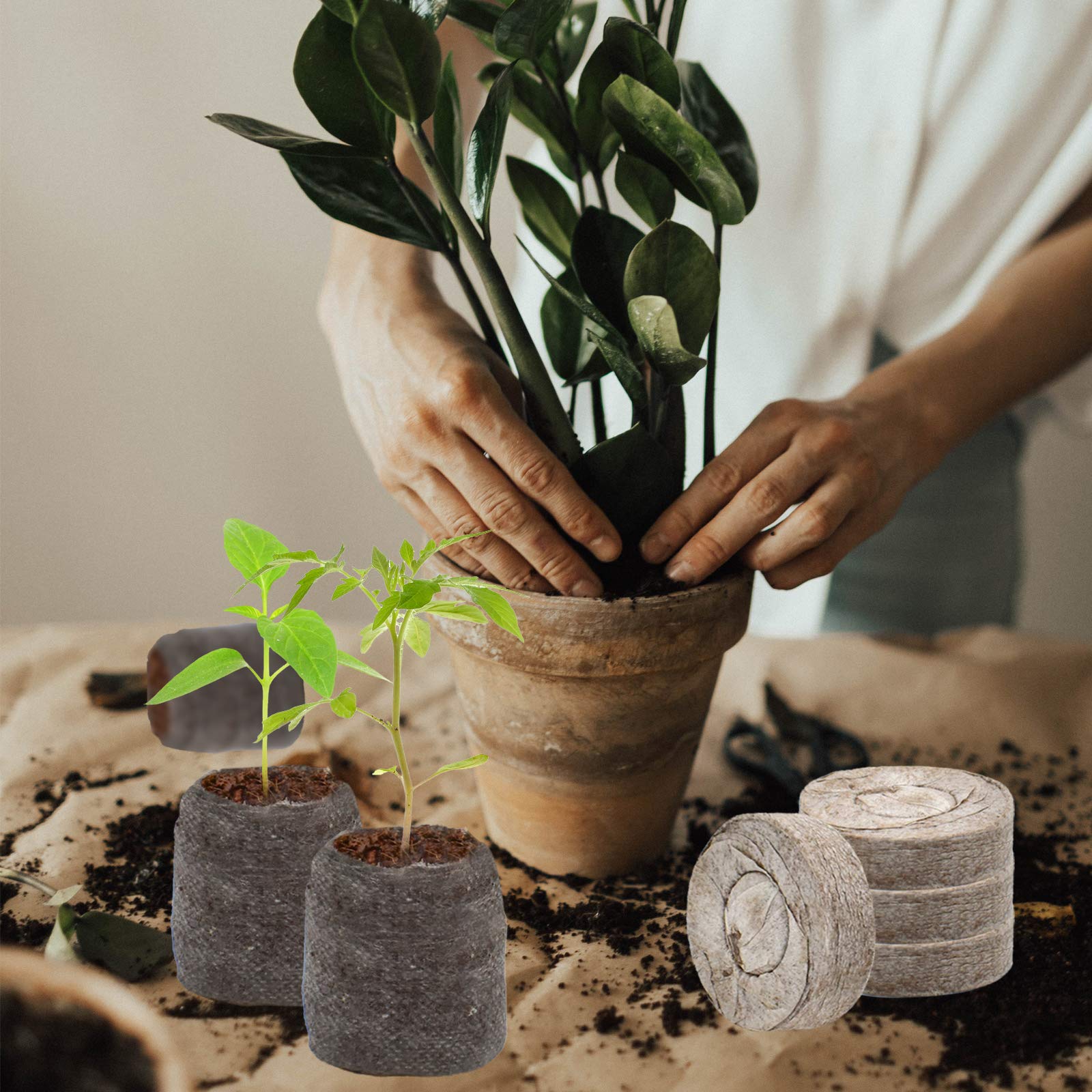 Zeedix garden tools included convenient set for transplanting and labeling