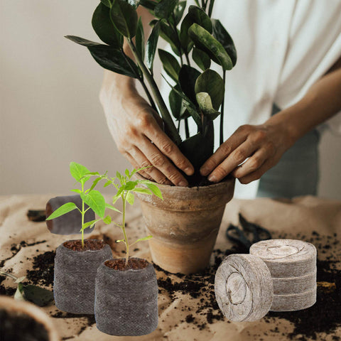 Zeedix garden tools included convenient set for transplanting and labeling
