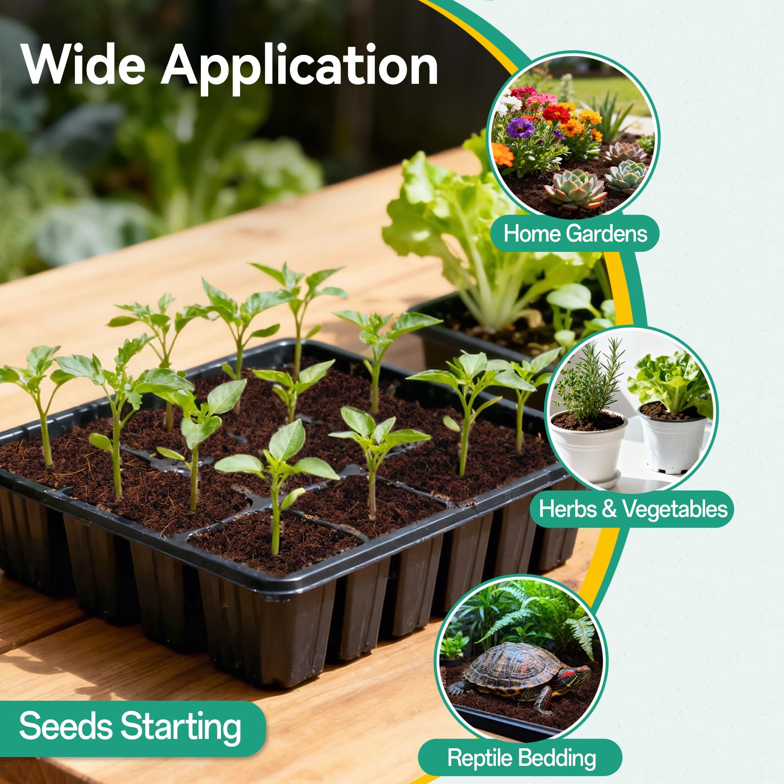 ZeeDix coco coir supports herbs, vegetables, and flowers indoors.