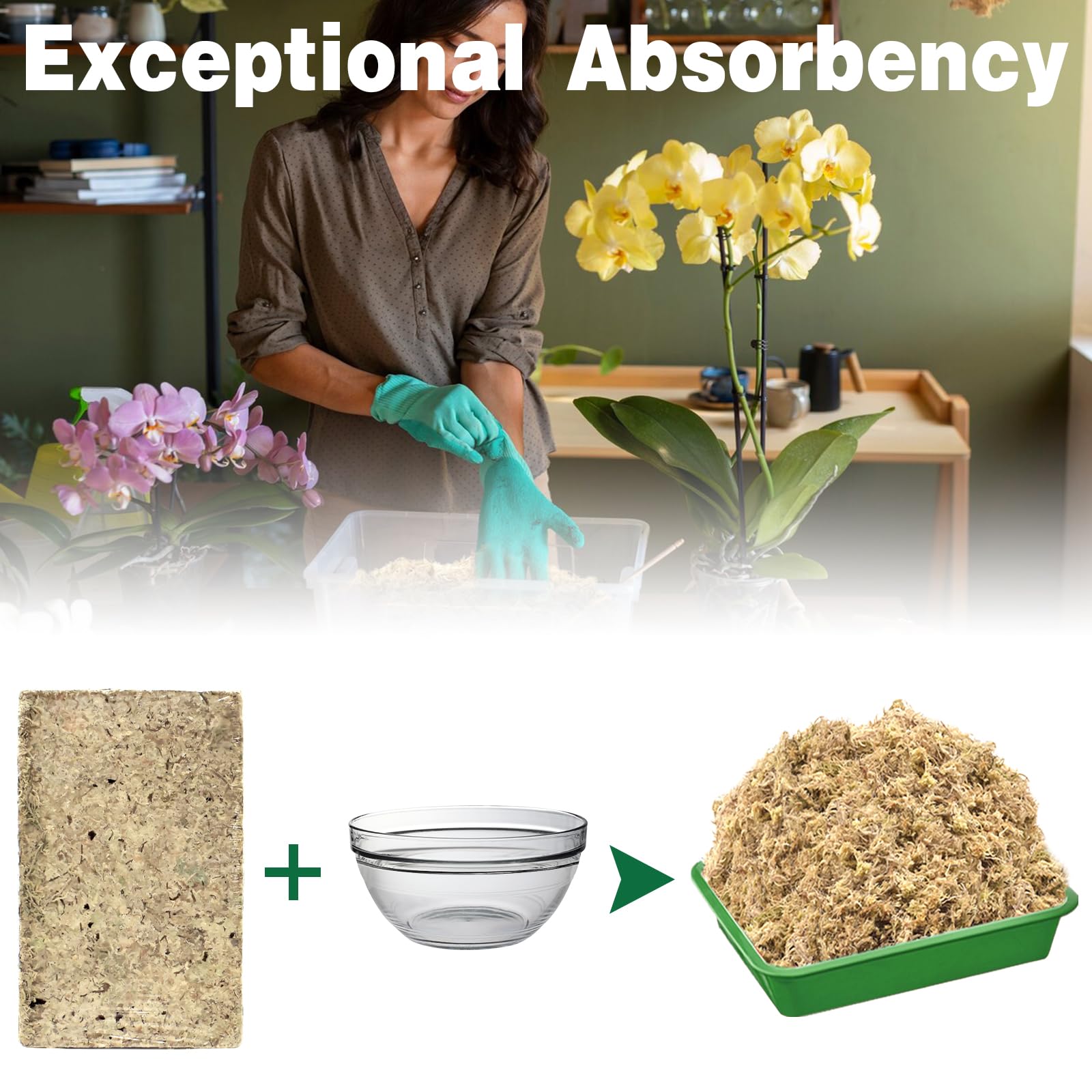 Zeedix Houseplant top dressing preserves moisture while avoiding overwatering.