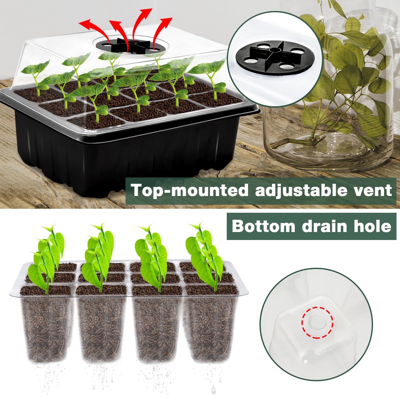 ZeeDix humidity dome lock demonstrates moisture and warmth retention for germination.