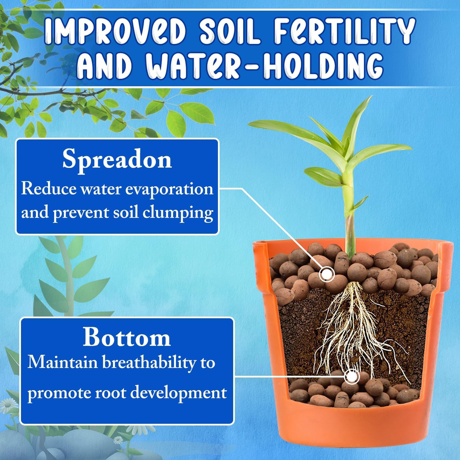 ZeeDix Leca clay pebbles anchor plants for stable growth.