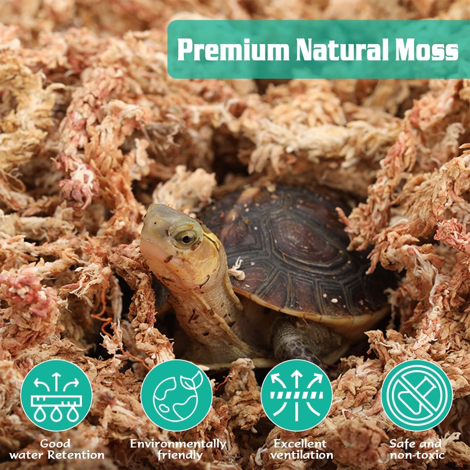Soaking ZeeDix moss rehydrates fibers to improve moisture retention