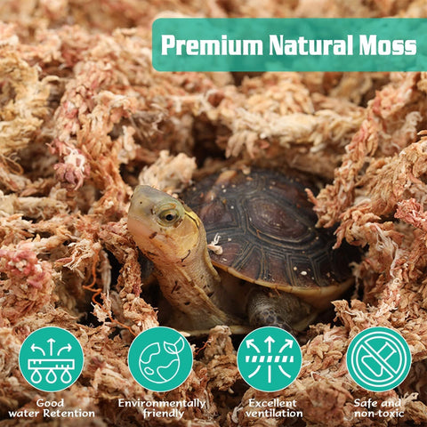 Soaking ZeeDix moss rehydrates fibers to improve moisture retention