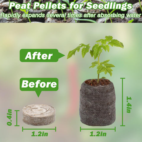 ZeeDix net bag compressed nursery block facilitates safe transport and transplant.
