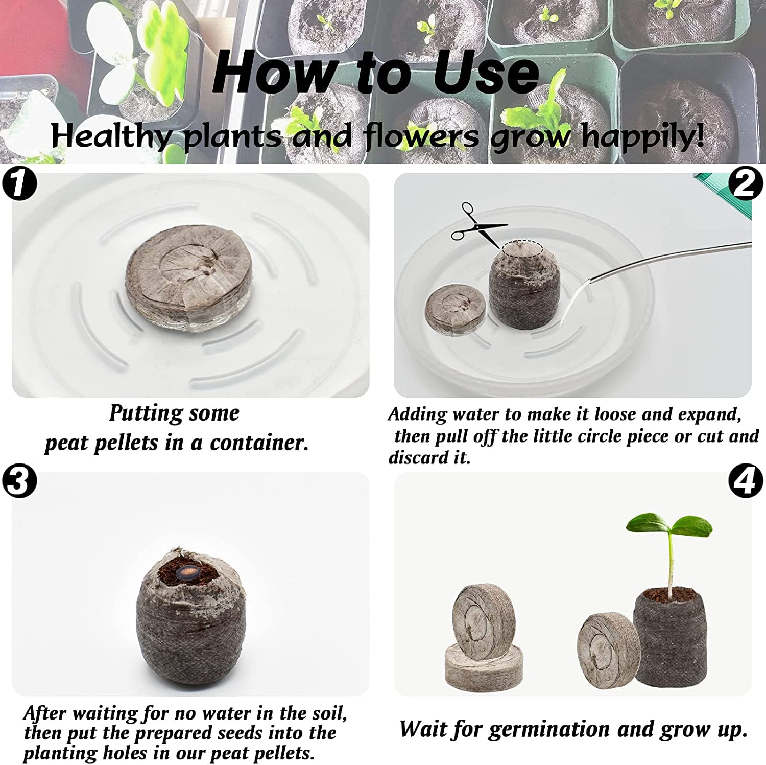 ZeeDix mesh-covered pods secure seedlings during transport