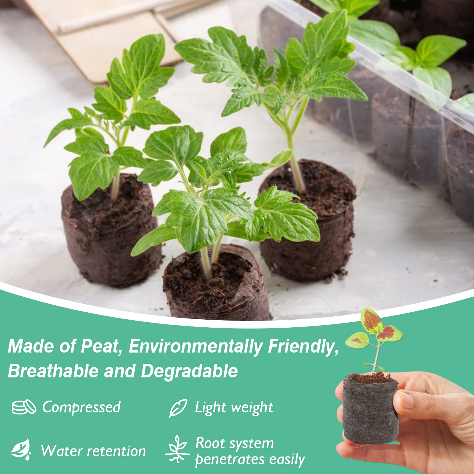 ZeeDix net-covered seed starter pods ready for easy transplant into pots