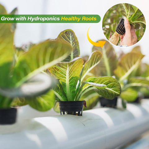 ZeeDix net pot demonstrates cloning collar compatibility for versatile use.