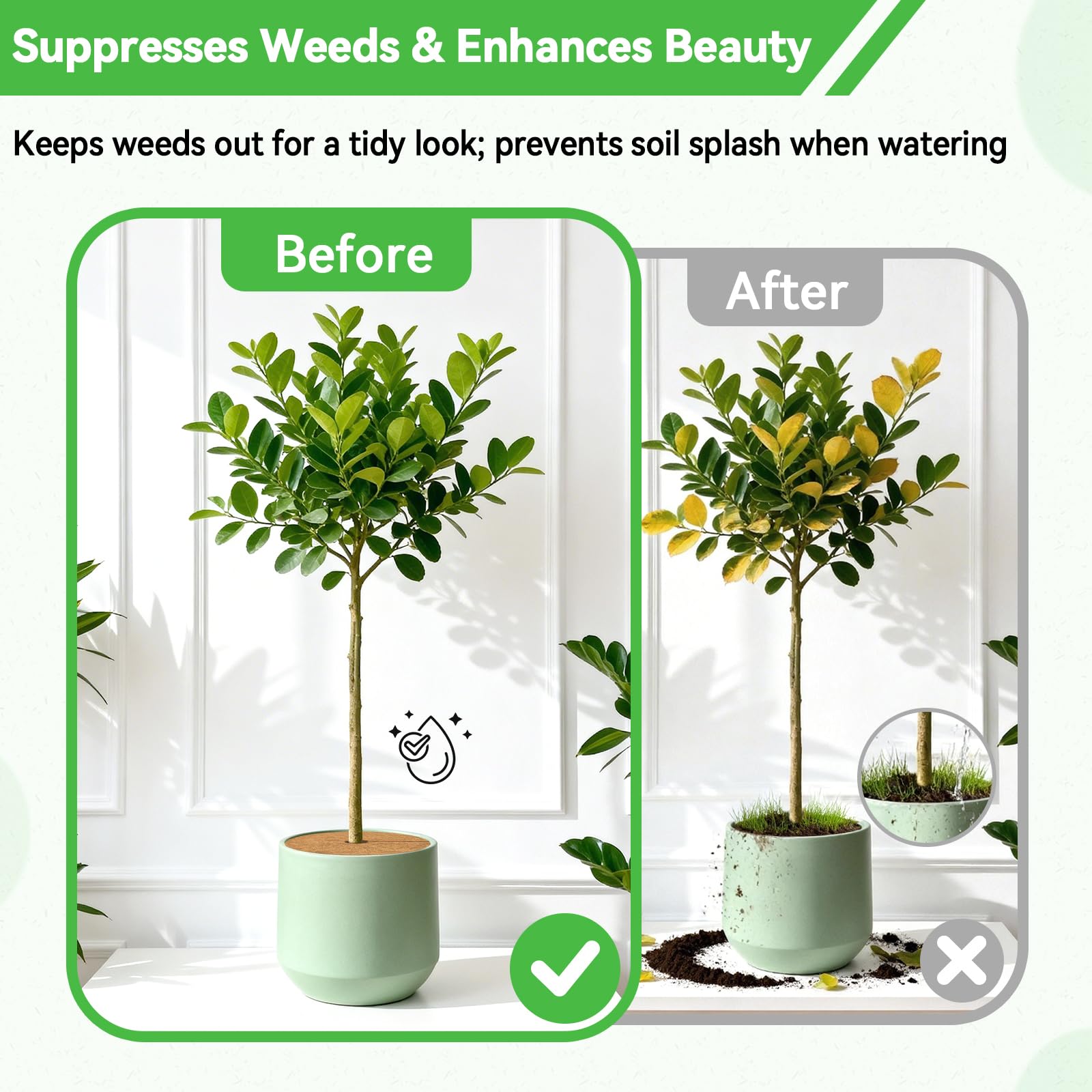ZeeDix three ring pack offers versatile plant protection and decor