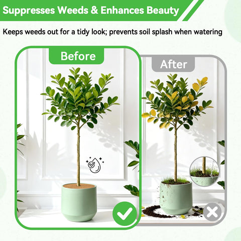 ZeeDix three ring pack offers versatile plant protection and decor