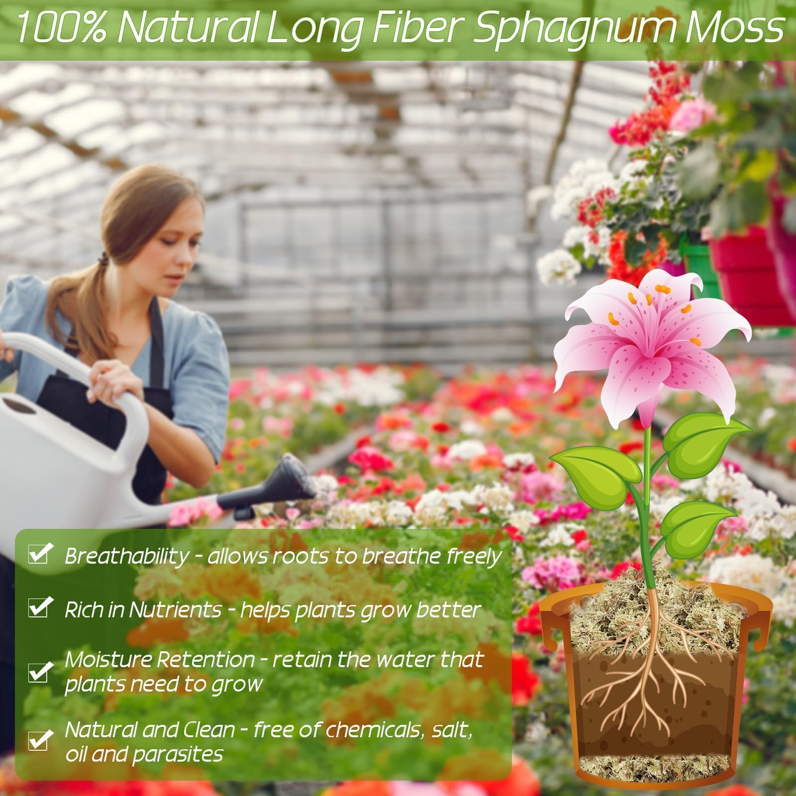 ZeeDix orchid moss mixed with perlite for versatile growing medium.