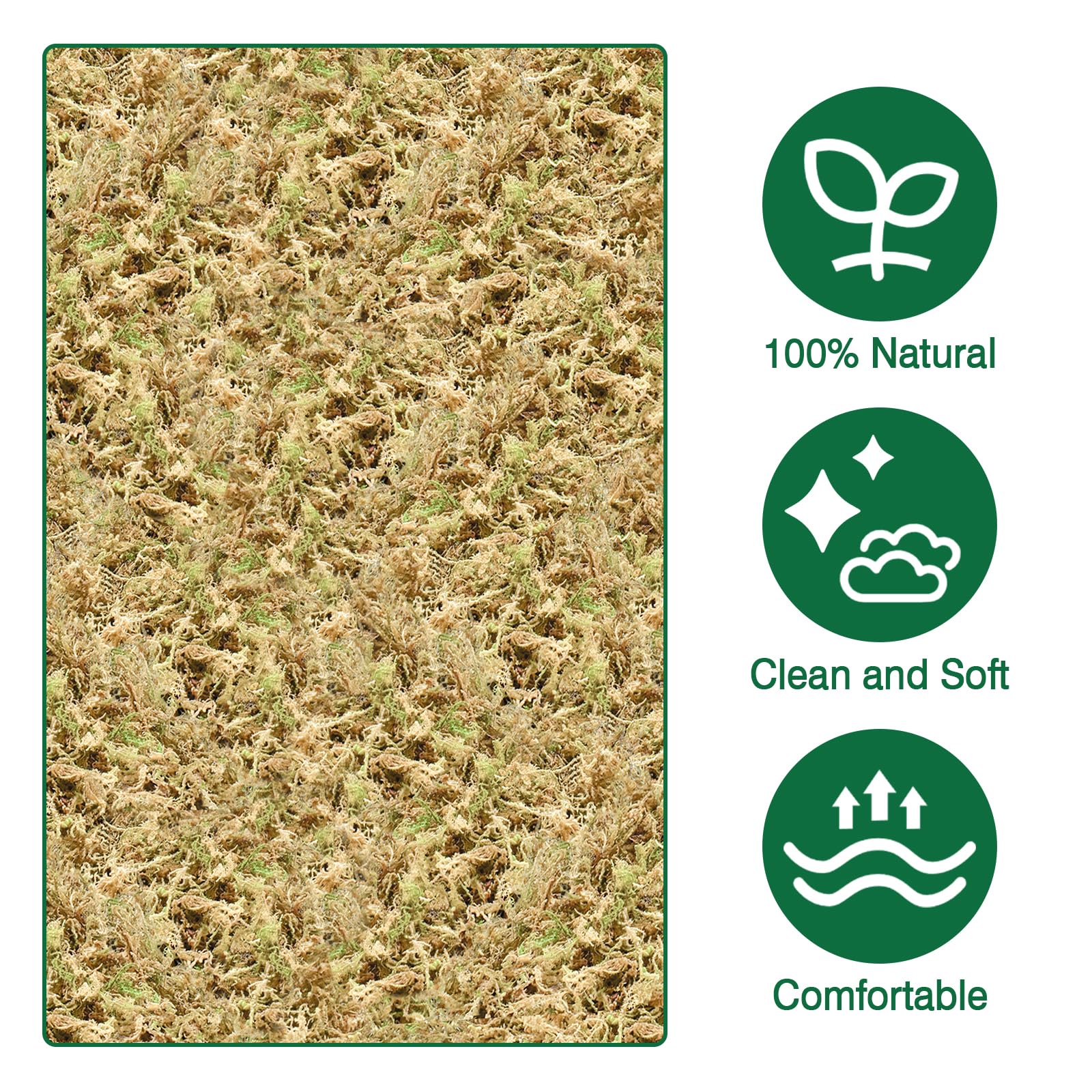 Zeedix Orchid repotting with moss supports gentle root moisture.