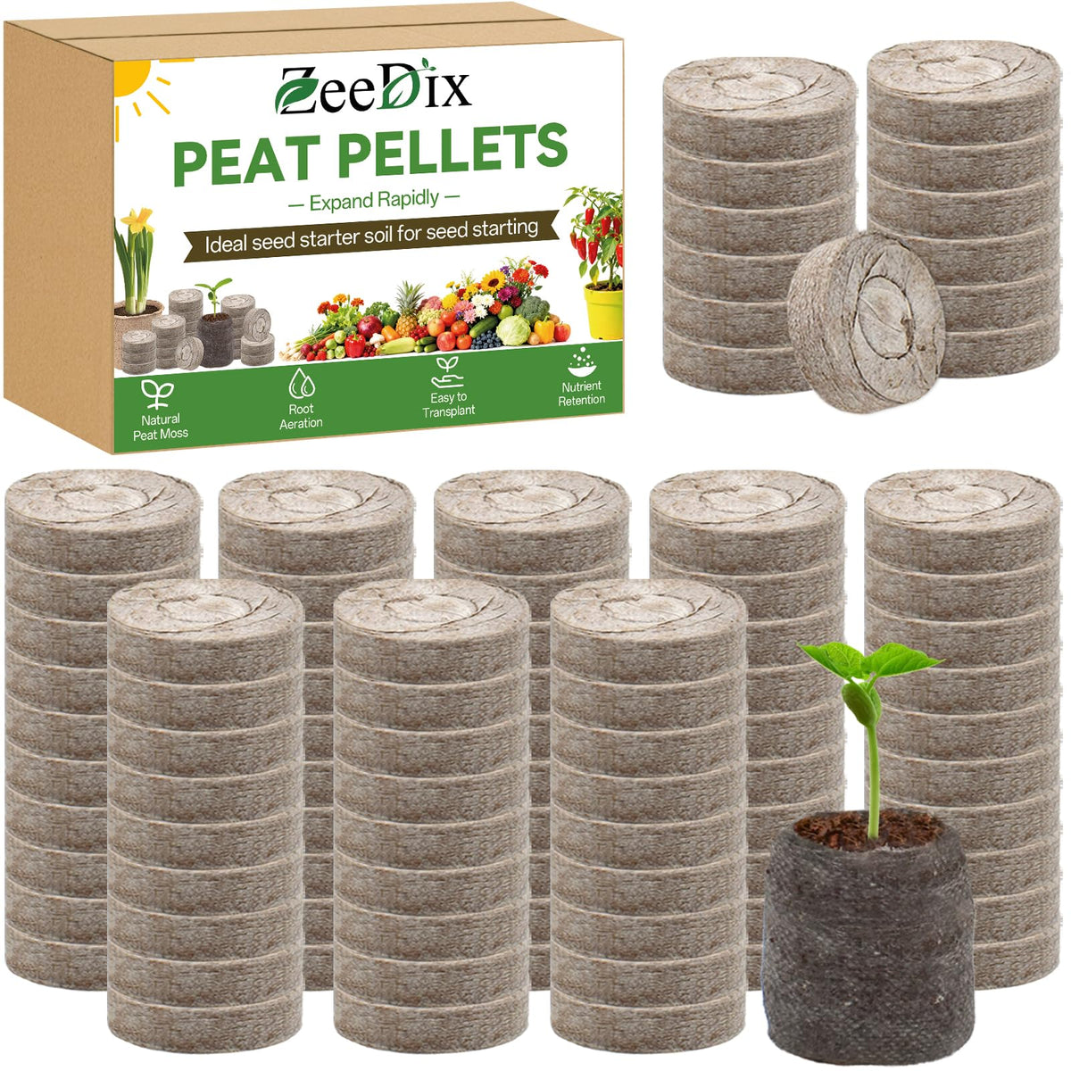 ZeeDix 50mm peat seed starter ready for planting