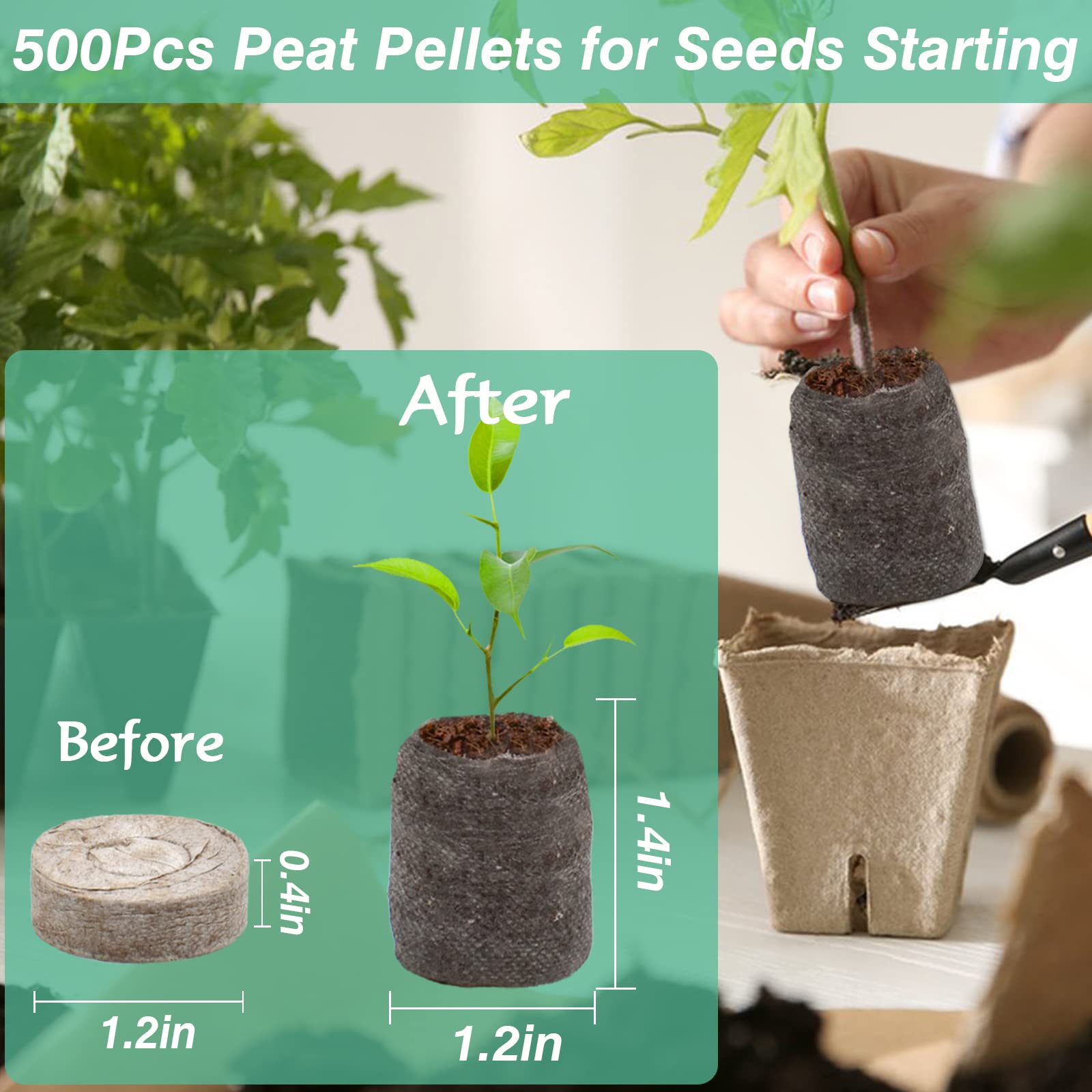 ZeeDix peat pellets with net cover improve seedling transport and root protection