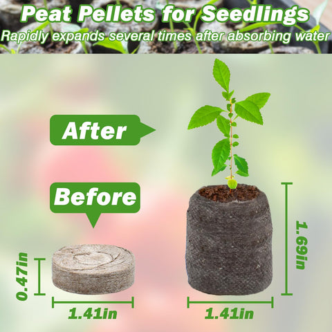 ZeeDix pellets expanding after soaking for ready-to-plant plugs