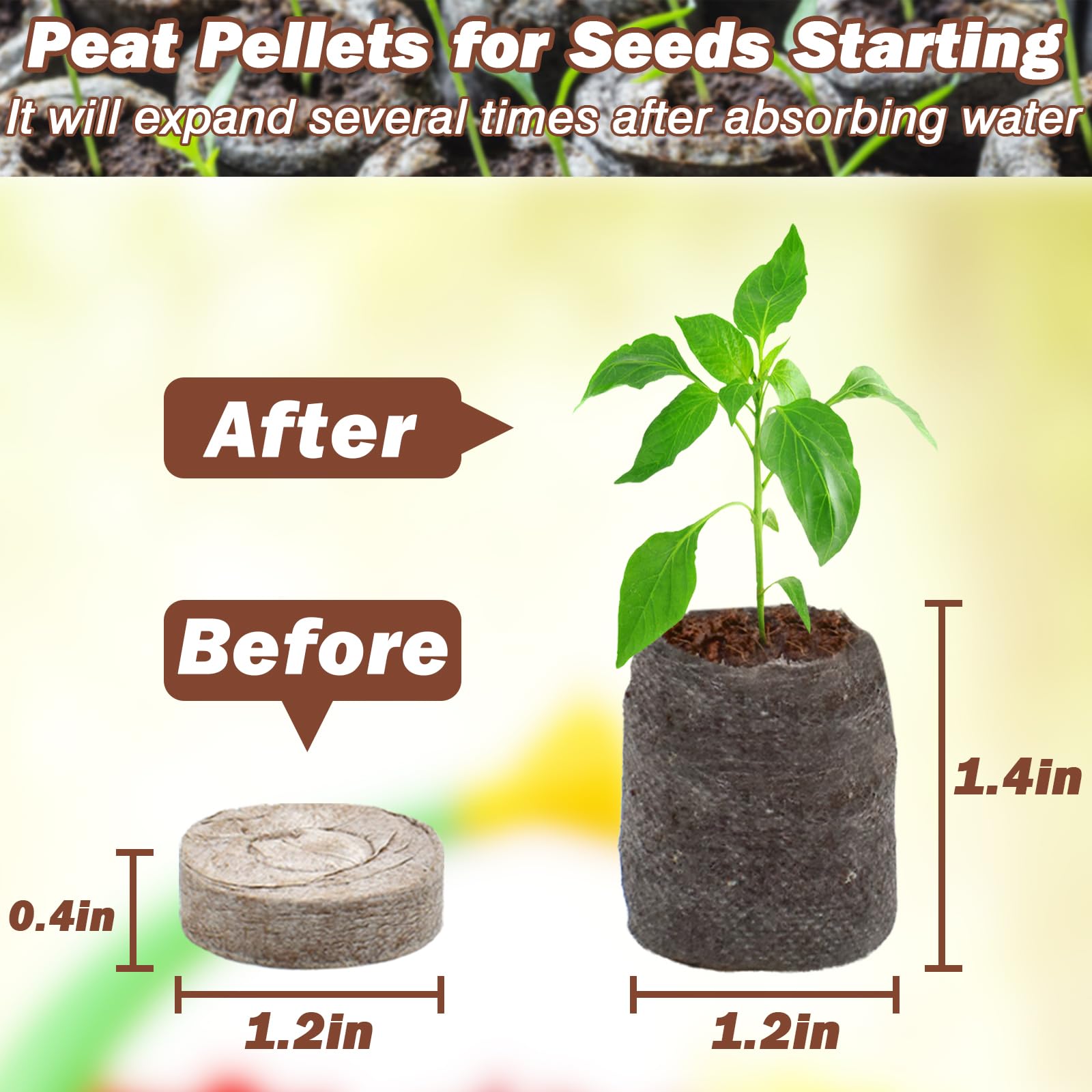 ZeeDix peat pellets expanding when watered for planting