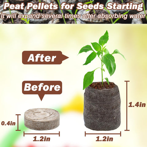 ZeeDix peat pellets expanding when watered for planting
