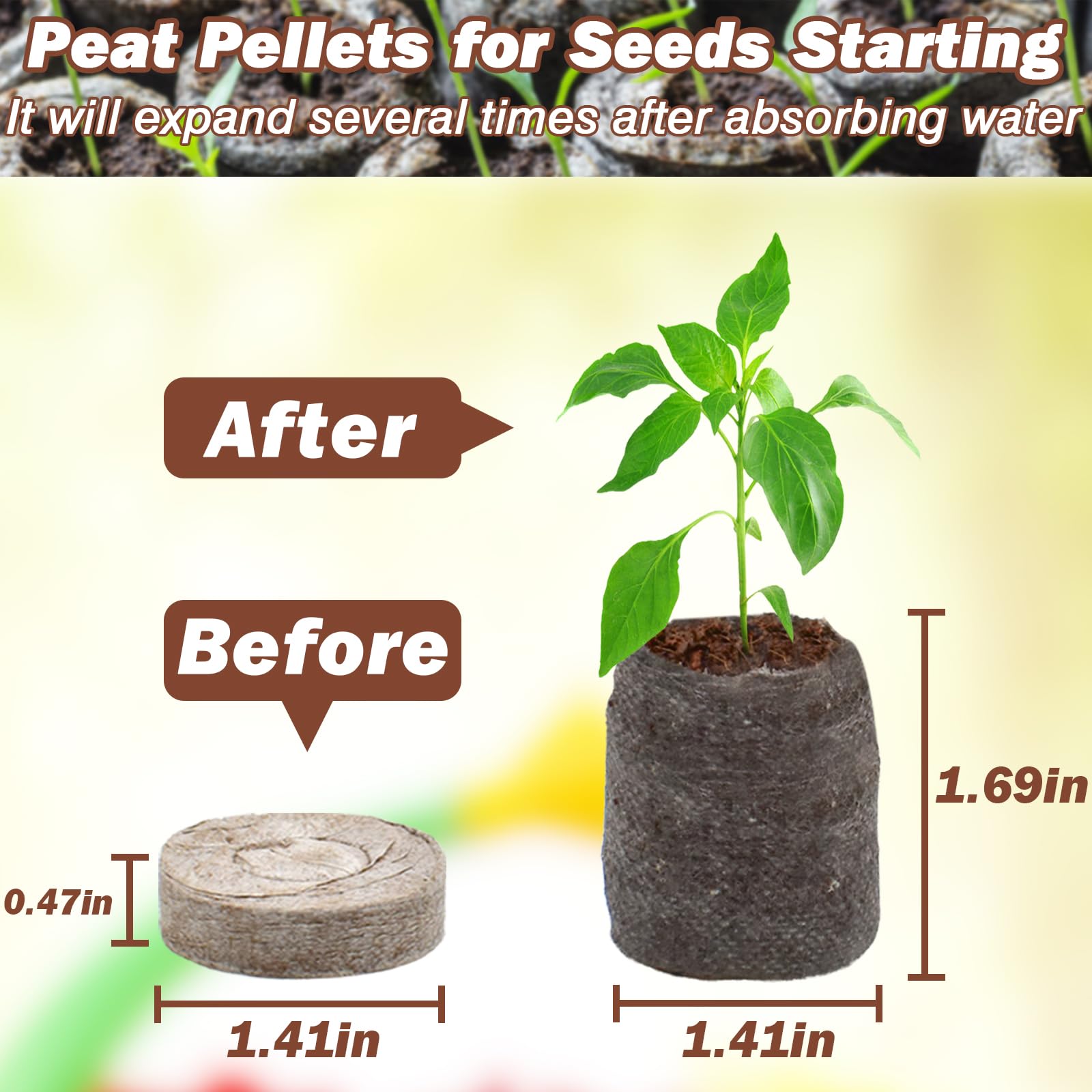 Expanded ZeeDix peat pellets after water absorption ready for planting.