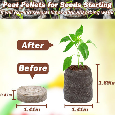 Expanded ZeeDix peat pellets after water absorption ready for planting.