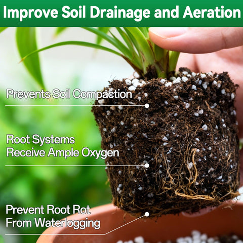 ZeeDix Perlite bottom layer prevents waterlogging and stabilizes pots.