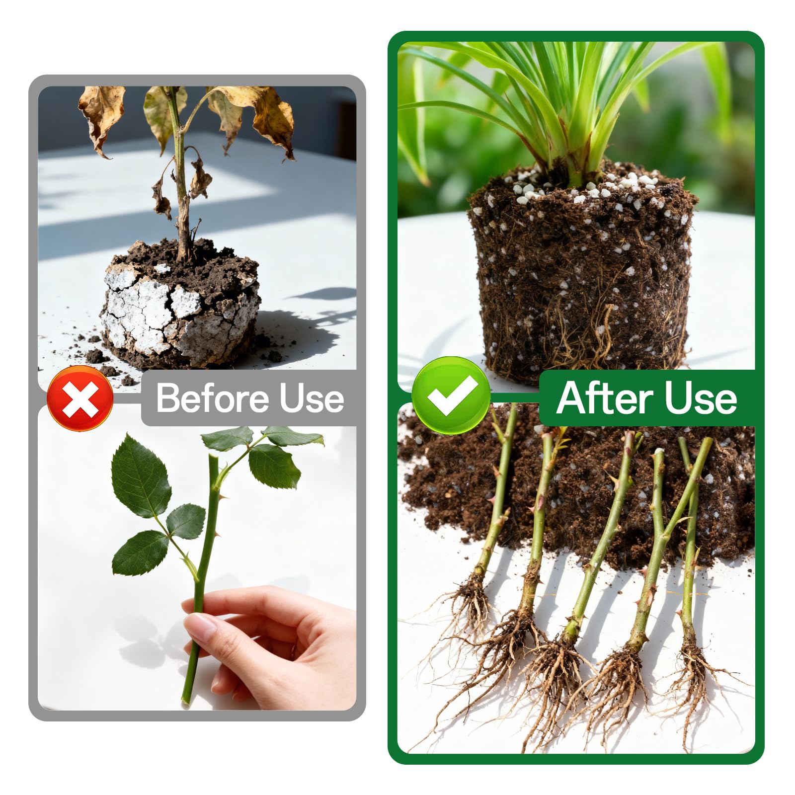 ZeeDix Perlite aids hydroponics by maintaining air pockets and moisture balance.