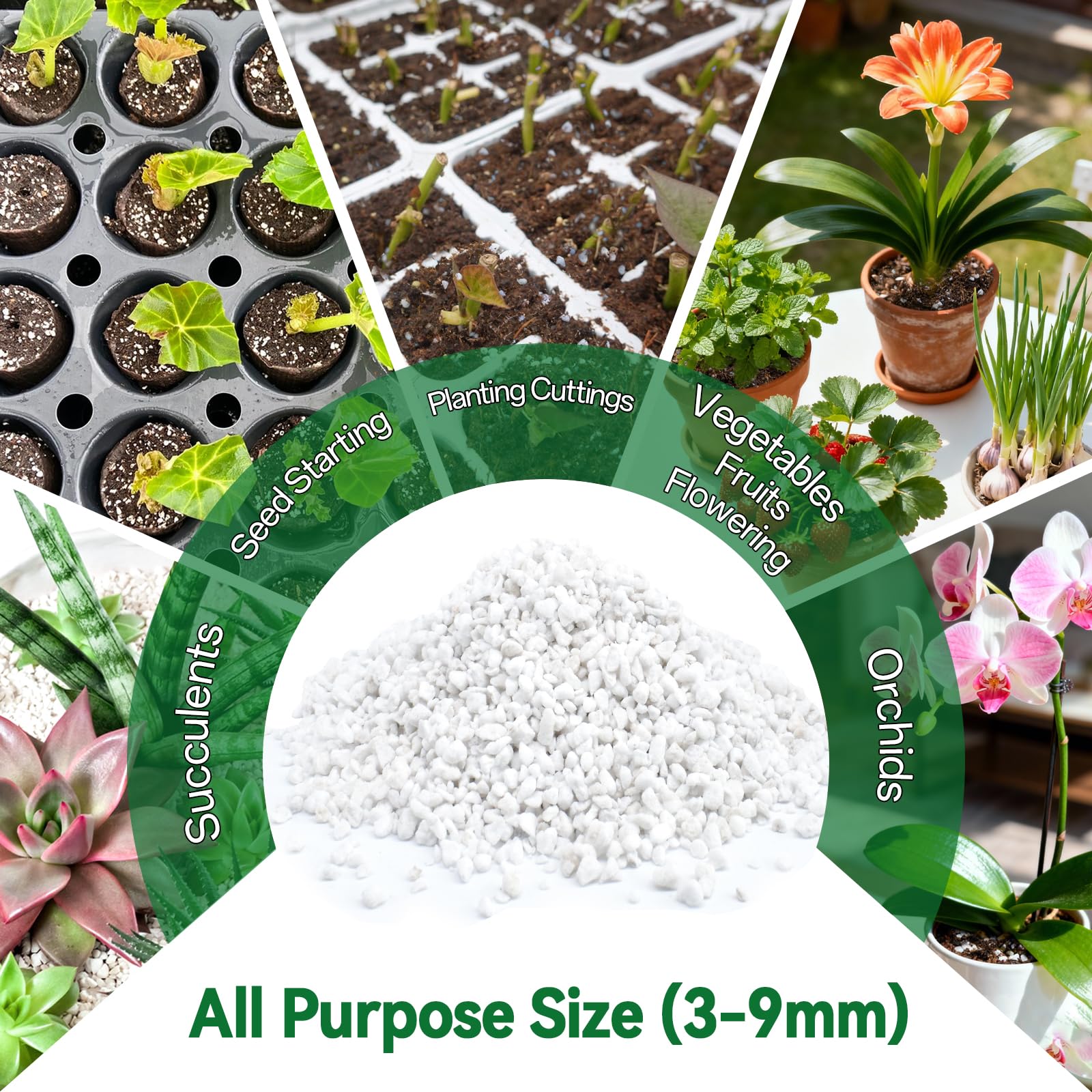 ZeeDix Perlite supports orchids and aroids by promoting root health.