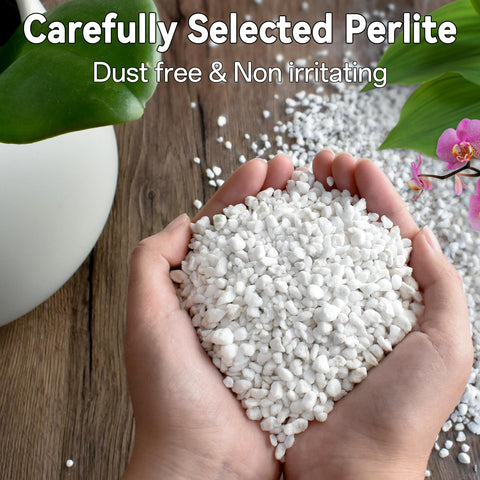 ZeeDix Perlite helps propagation with a root-friendly medium.