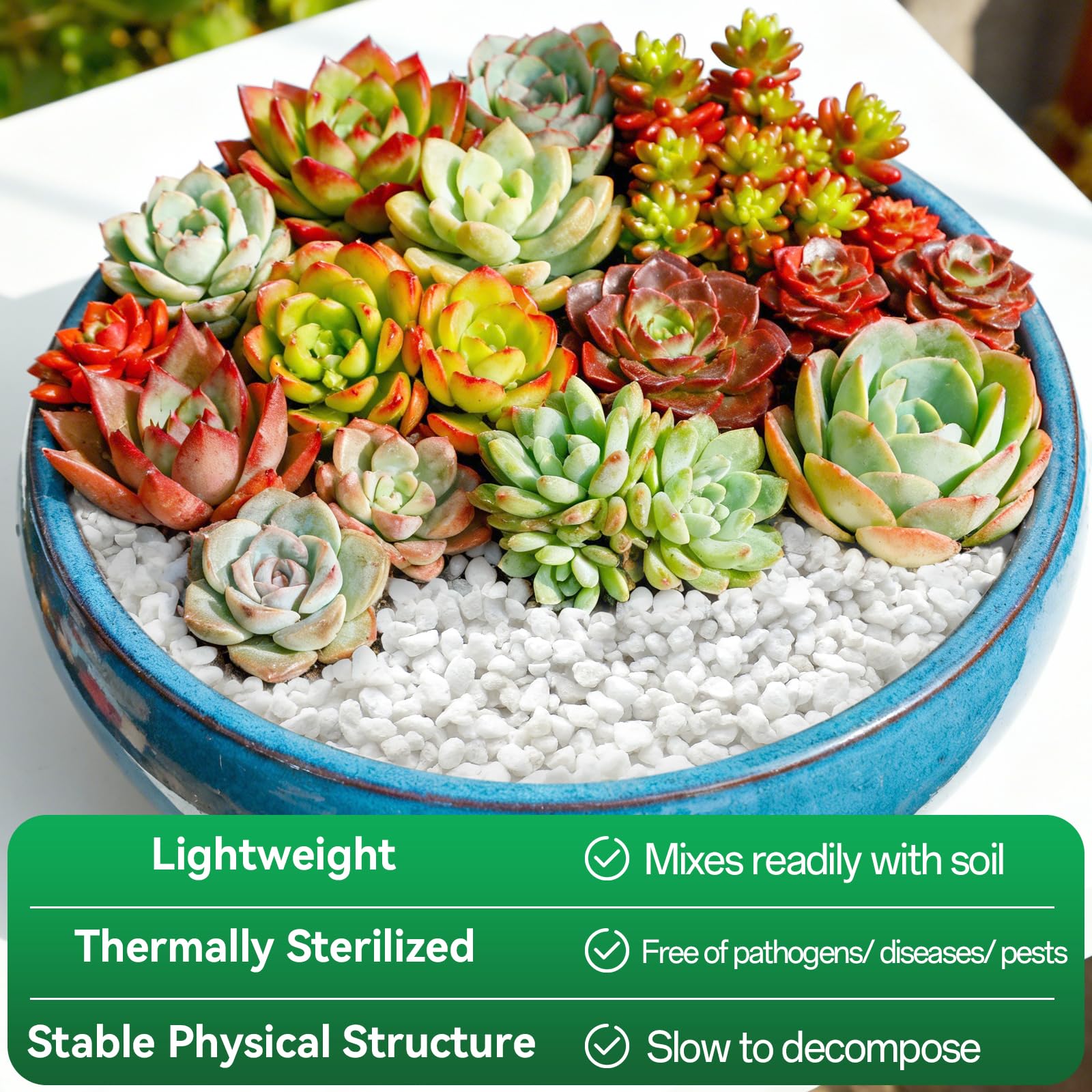 ZeeDix Perlite aids succulents and cacti with well-drained soil.