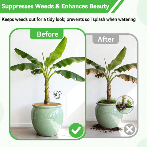 ZeeDix pre-cut mulch rings fit roots easily for quick gardening setup.