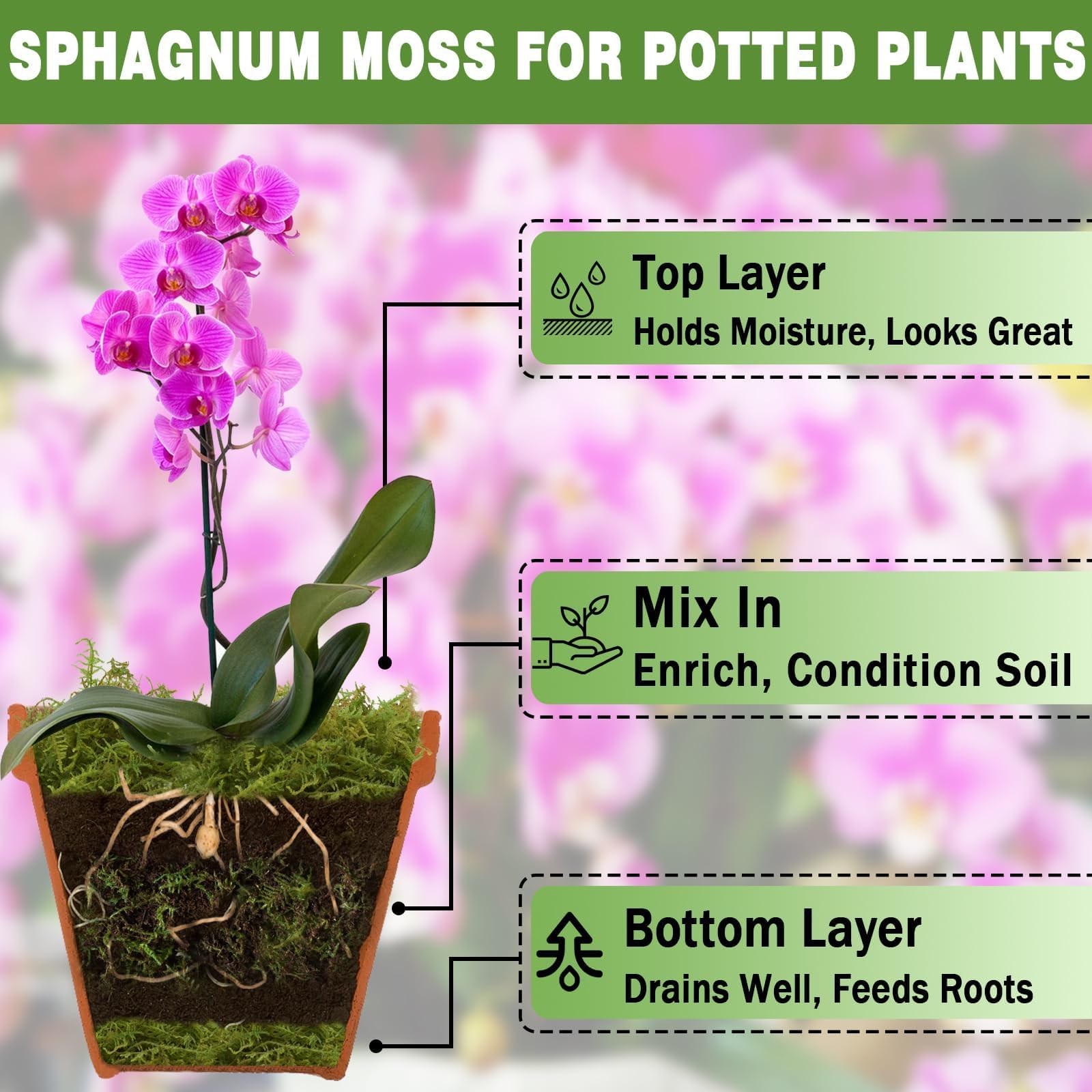Zeedix Premium Sphagnum Moss close-up highlights long fibers ideal for root development