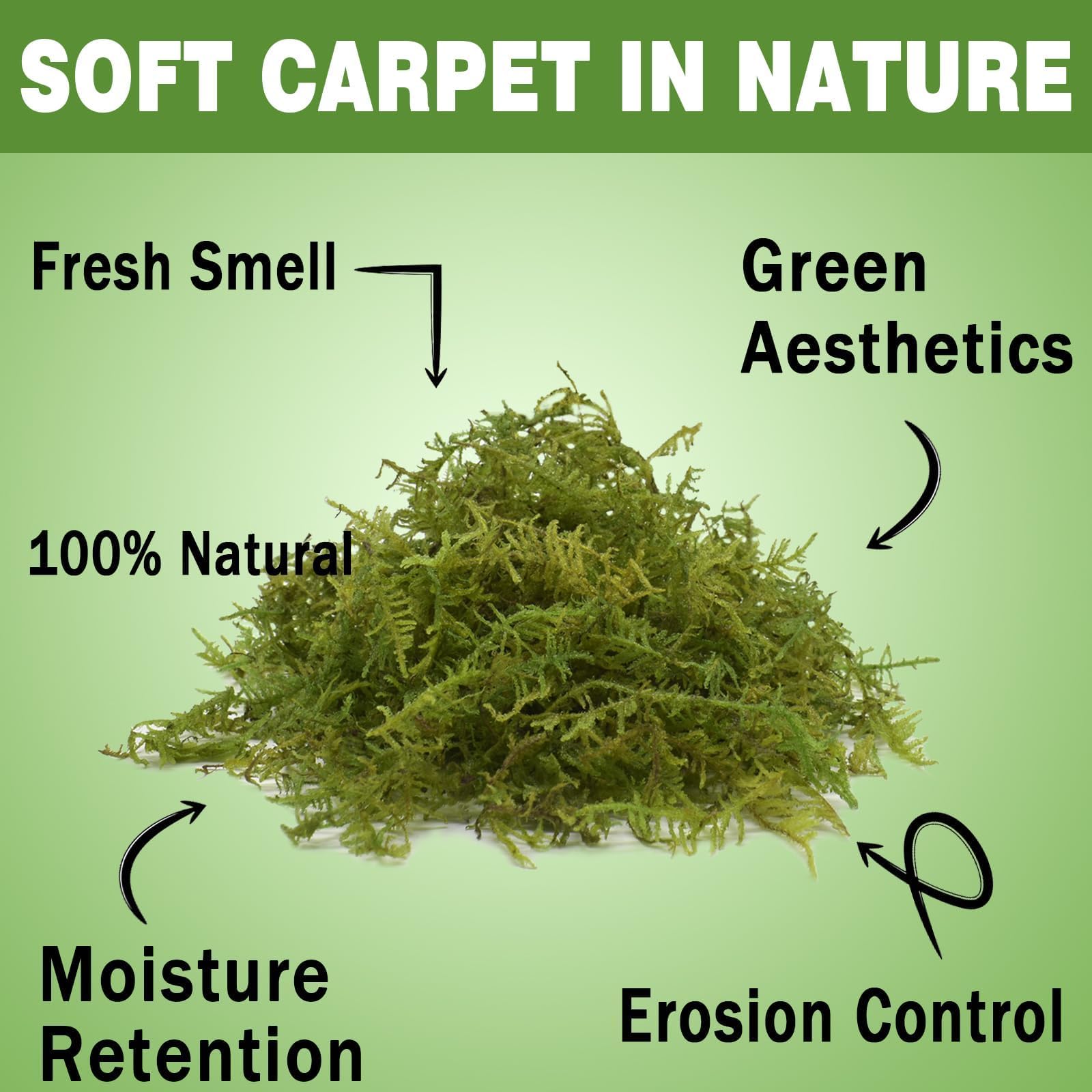 Zeedix Premium Sphagnum Moss with visible moisture droplets for humidity retention