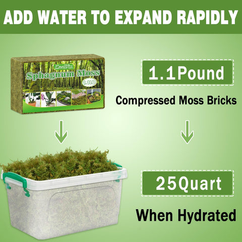 Zeedix Premium Sphagnum Moss moss-pole filler for climbing plants