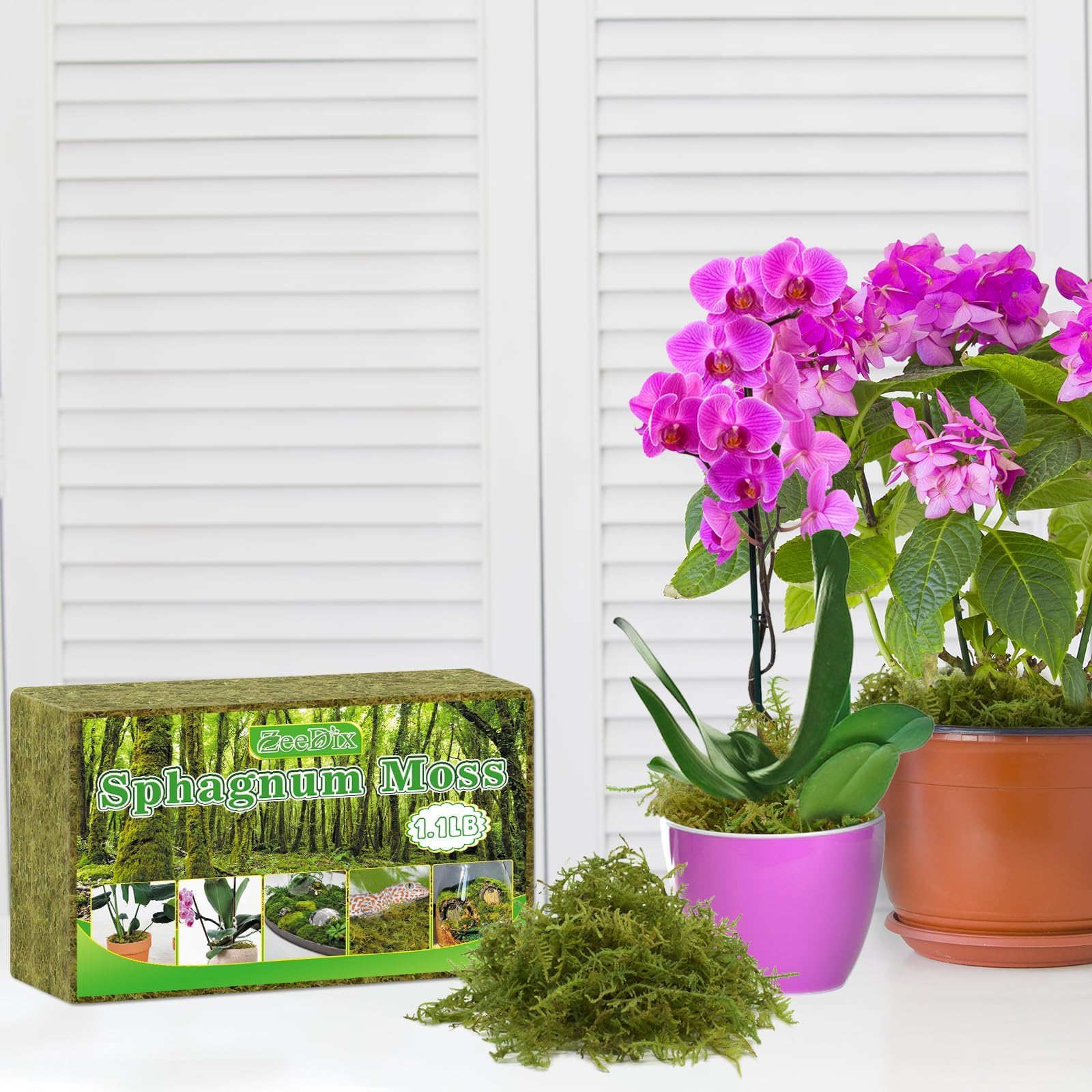 Zeedix Premium Sphagnum Moss natural appearance showing earthy texture