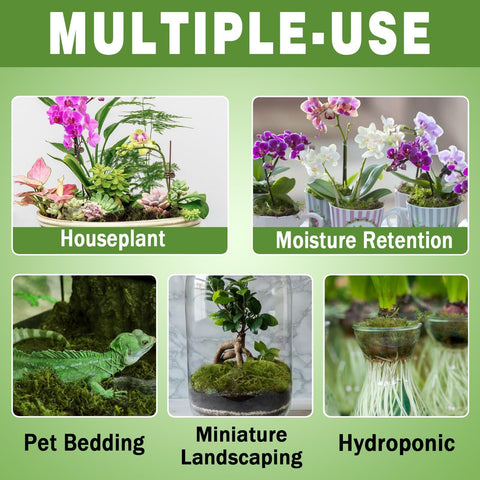 Zeedix Premium Sphagnum Moss packaging label emphasizing natural, additive-free composition