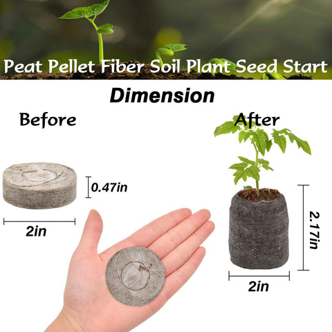 ZeeDix seed starter pellets expand when watered for easy planting.