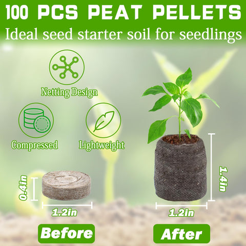 ZeeDix seed starter pods 30mm: uniform plugs for reliable germination