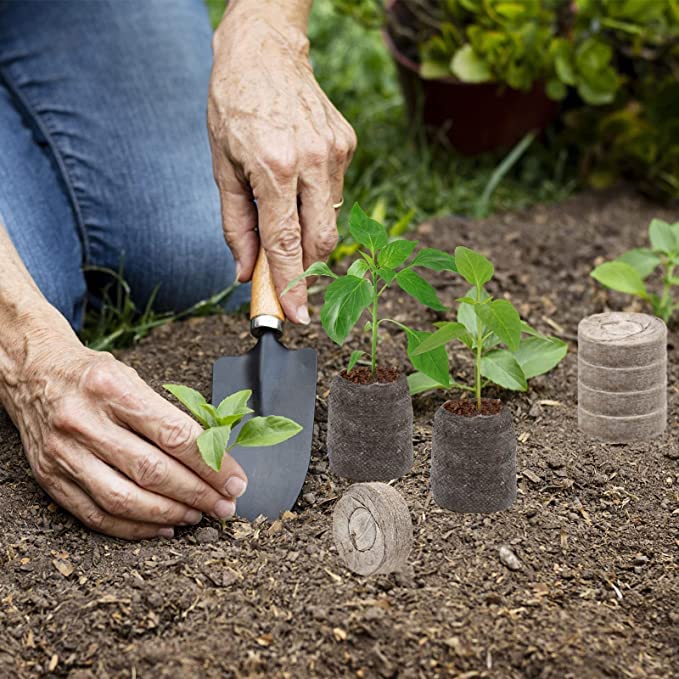 ZeeDix seed starter setup supports vegetables, herbs, and flowers